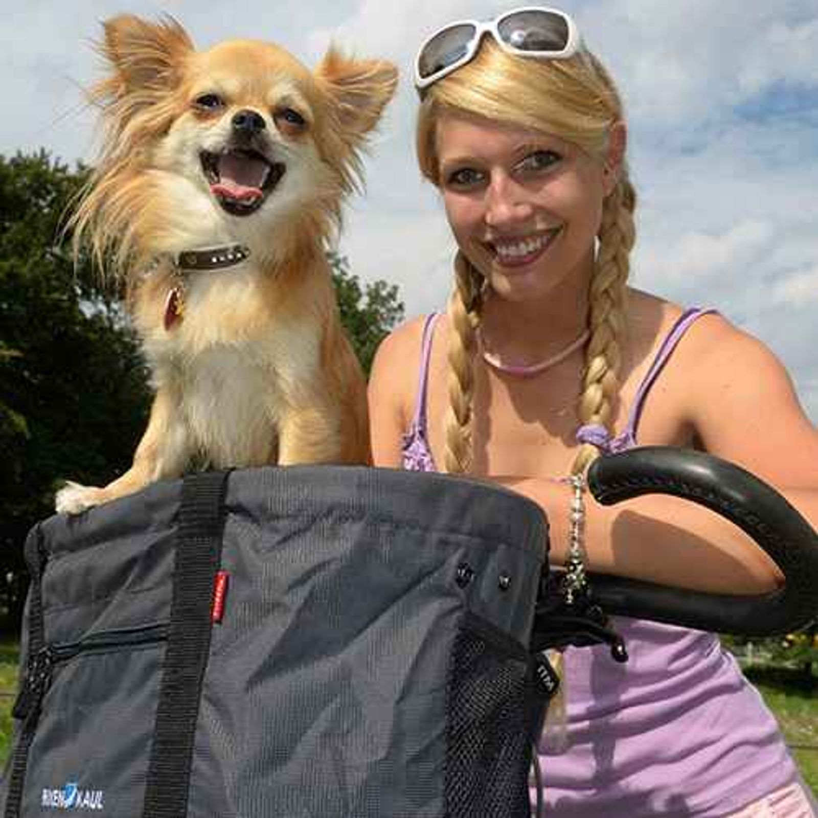 Panier Vélo Pour Chien KLICKfix - Capacité 10kg - En Osier Et Aluminium - Marron