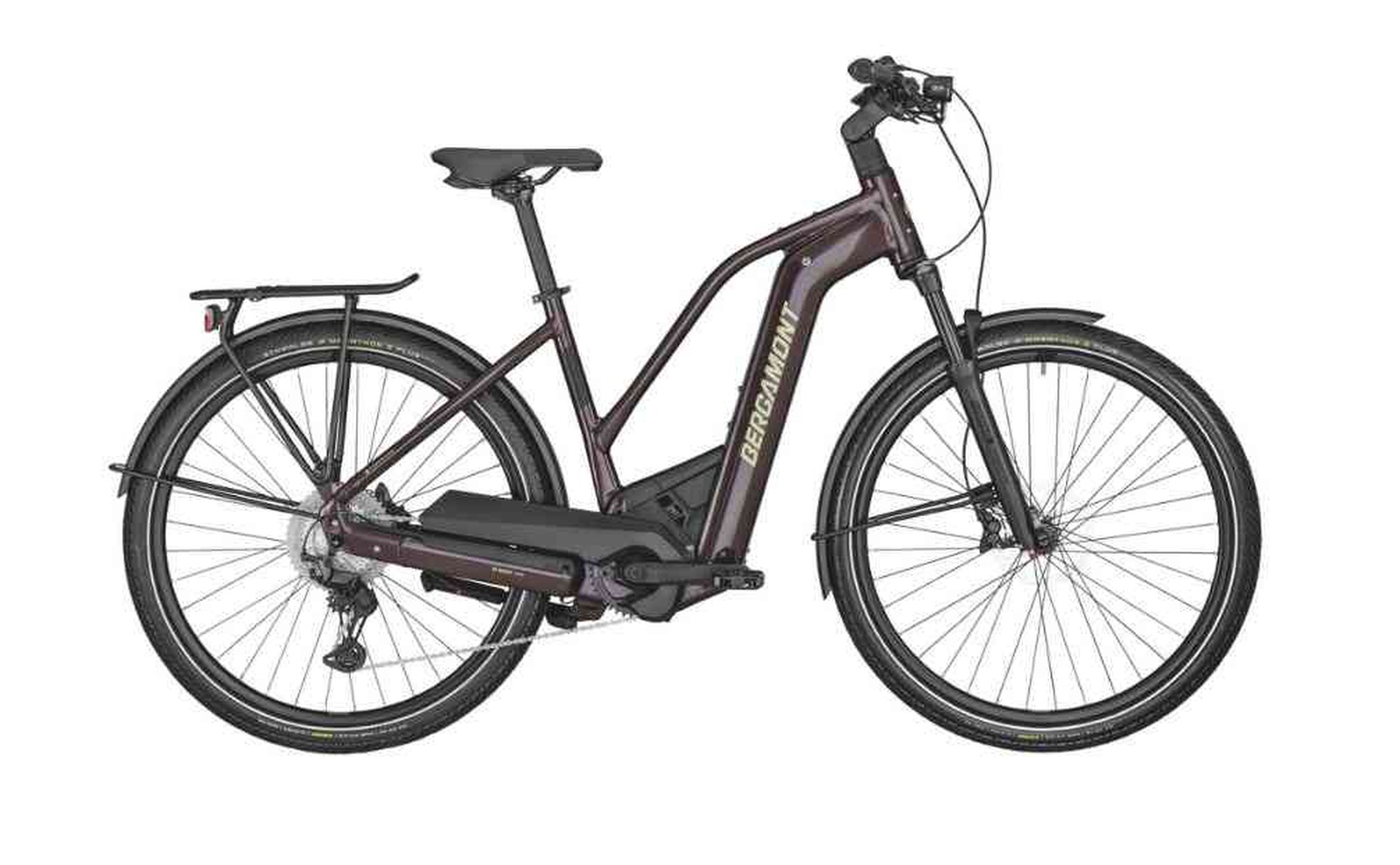 E-Horizon Premium Expert Lady