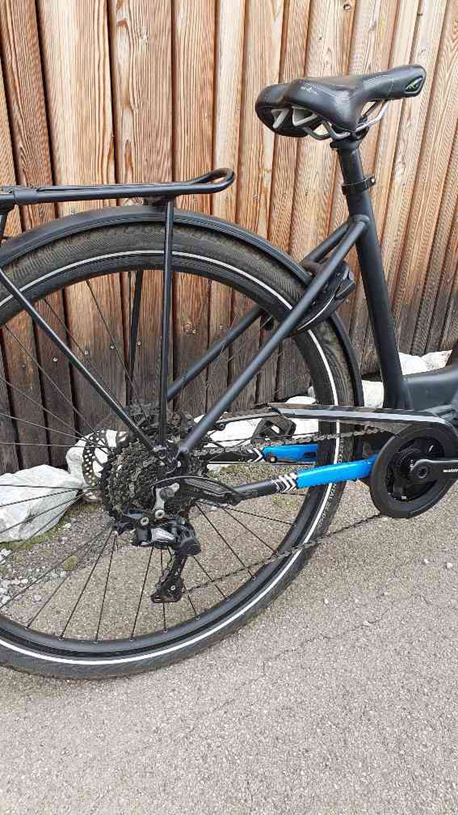 Campus 20e Lady moteur Shimano (occasion)