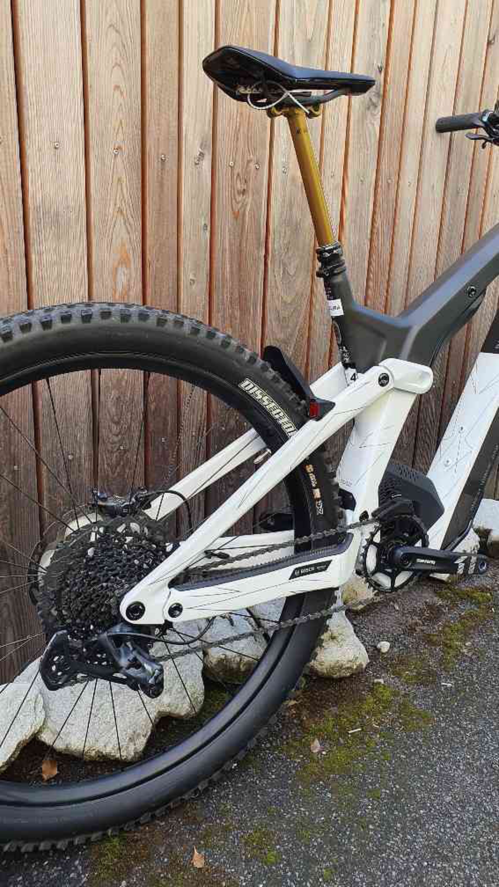 Patron eRIDE 900 Tuned (occasion) avec phare Supernova